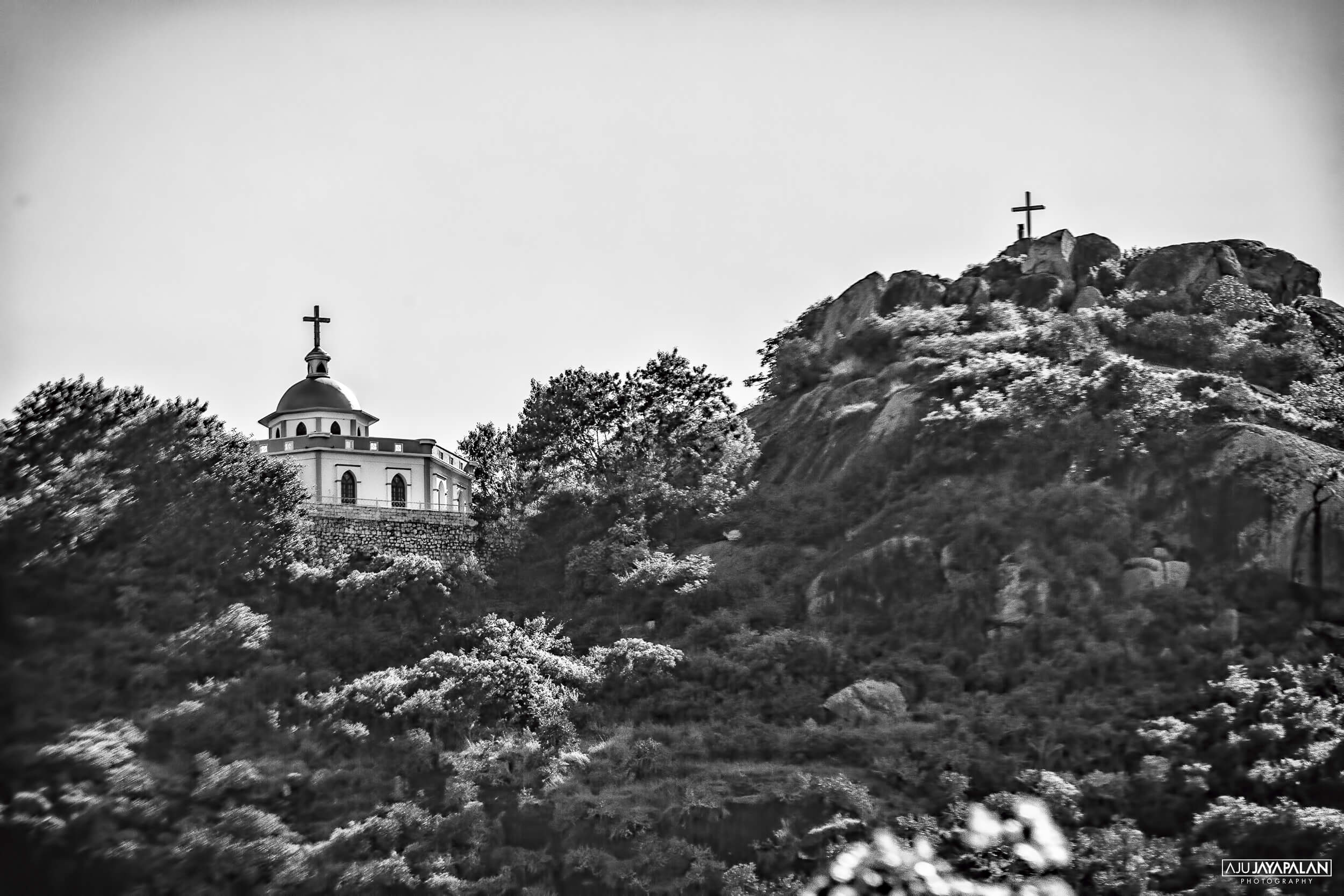 Photograph taken by Aju Jayapalan